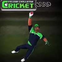 Cricket Fielder Challenge Game - Game Nora