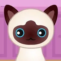 Guess The Kitty - Game Nora